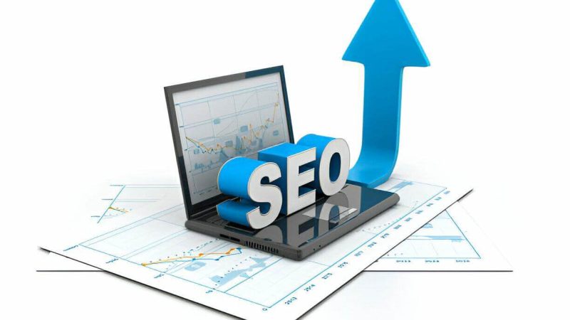 SEO Future Trends 2024 and Beyond Insights